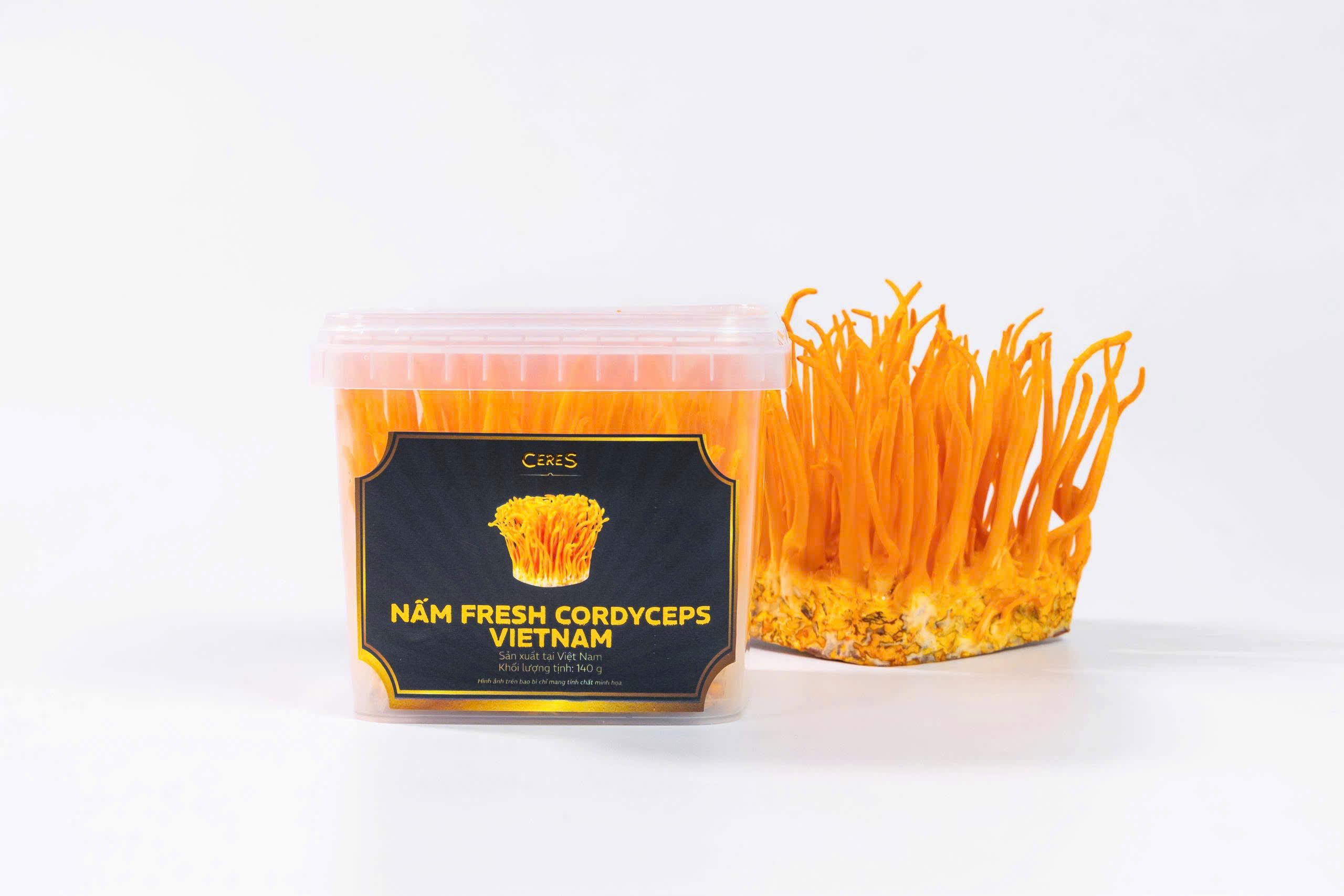 NẤM TƯƠI CORDYCEPS VIETNAM